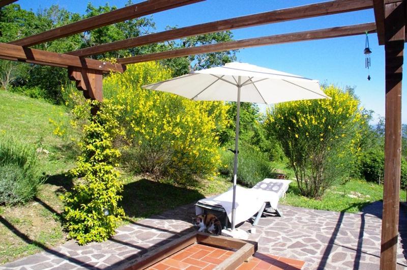 B&B Harem Arcidosso Zewnętrze zdjęcie