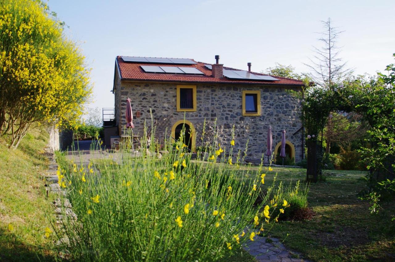 B&B Harem Arcidosso Zewnętrze zdjęcie