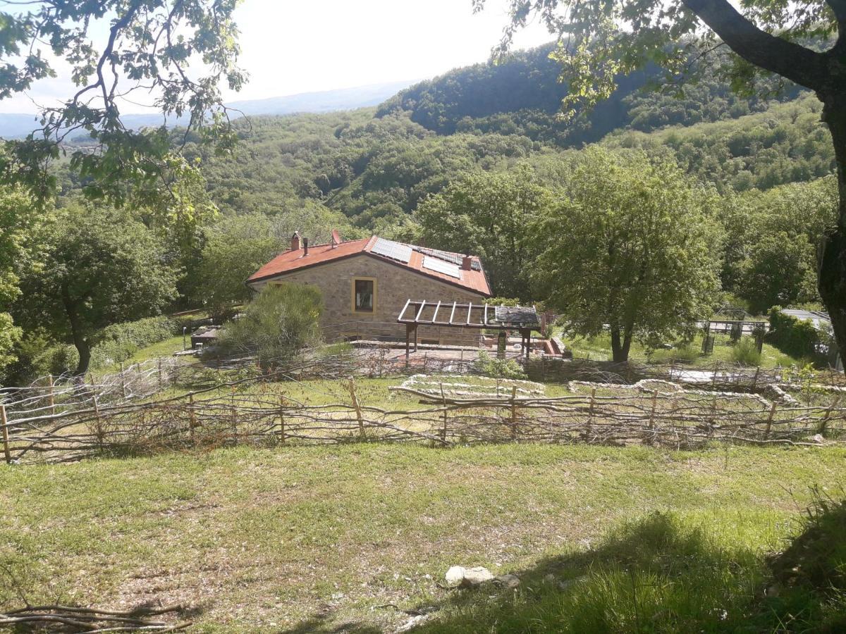 B&B Harem Arcidosso Zewnętrze zdjęcie