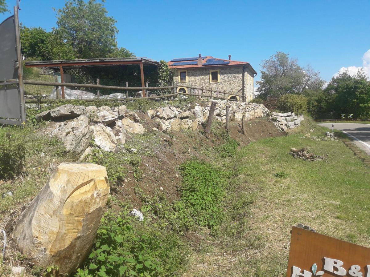 B&B Harem Arcidosso Zewnętrze zdjęcie